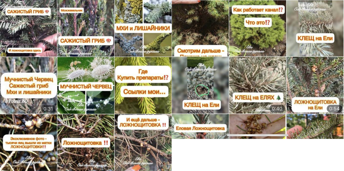 [Ева. Сад своими руками] Болезни и вредители (2023_0.png